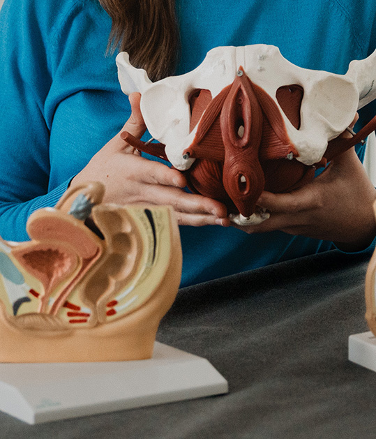 Bekkenbodem therapie